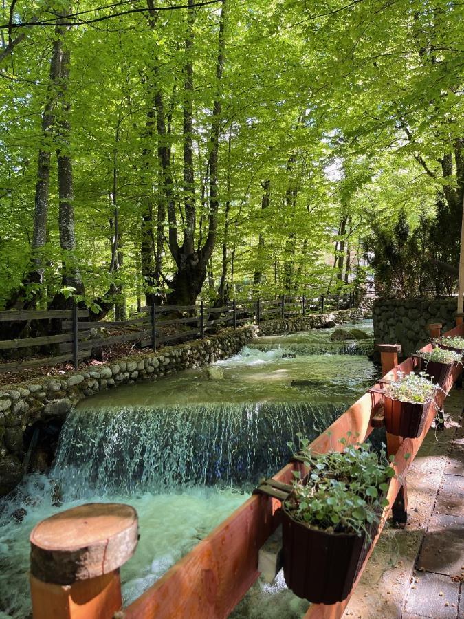 De La Villa Brezovice Εξωτερικό φωτογραφία