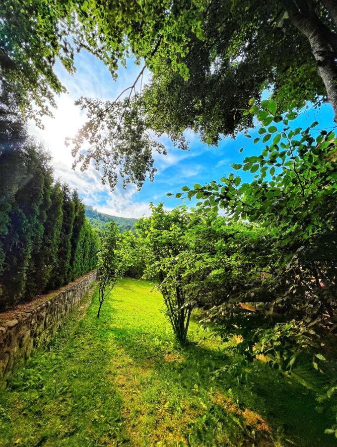 De La Villa Brezovice Εξωτερικό φωτογραφία